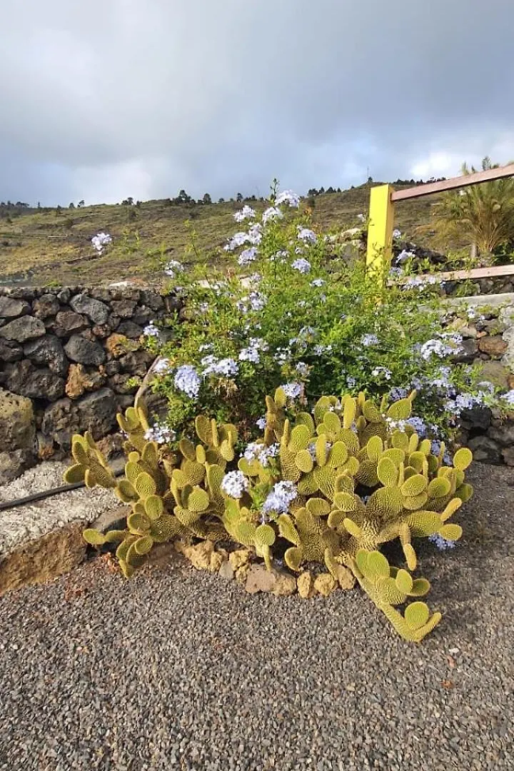 Casa Domingo Simon Villa Fuencaliente de la Palma Spanyolország